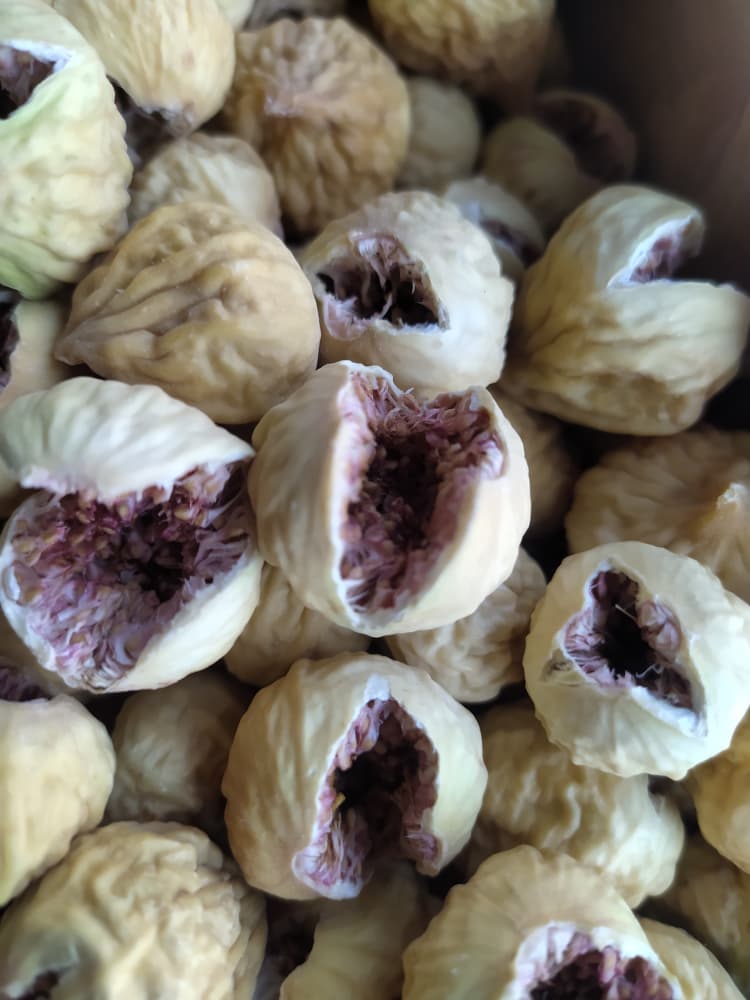 پخش عمده انجیر خشک صد یک درشت (AAA) قیمت کف بازار